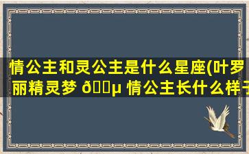 情公主和灵公主是什么星座(叶罗丽精灵梦 🐵 情公主长什么样子)